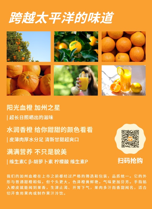 阳光血橙优惠活动dm宣传单(a4)