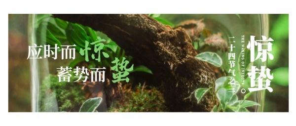 绿色中国风传统节气惊蛰公众号封面设计模板素材