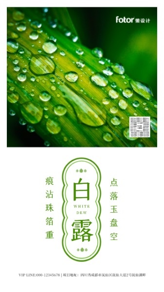 绿色中式白露节气日签海报设计模板素材