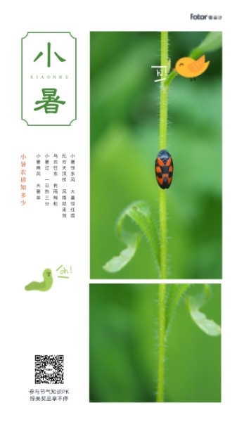 绿色清新简约图文传统节气小暑海报设计模板素材