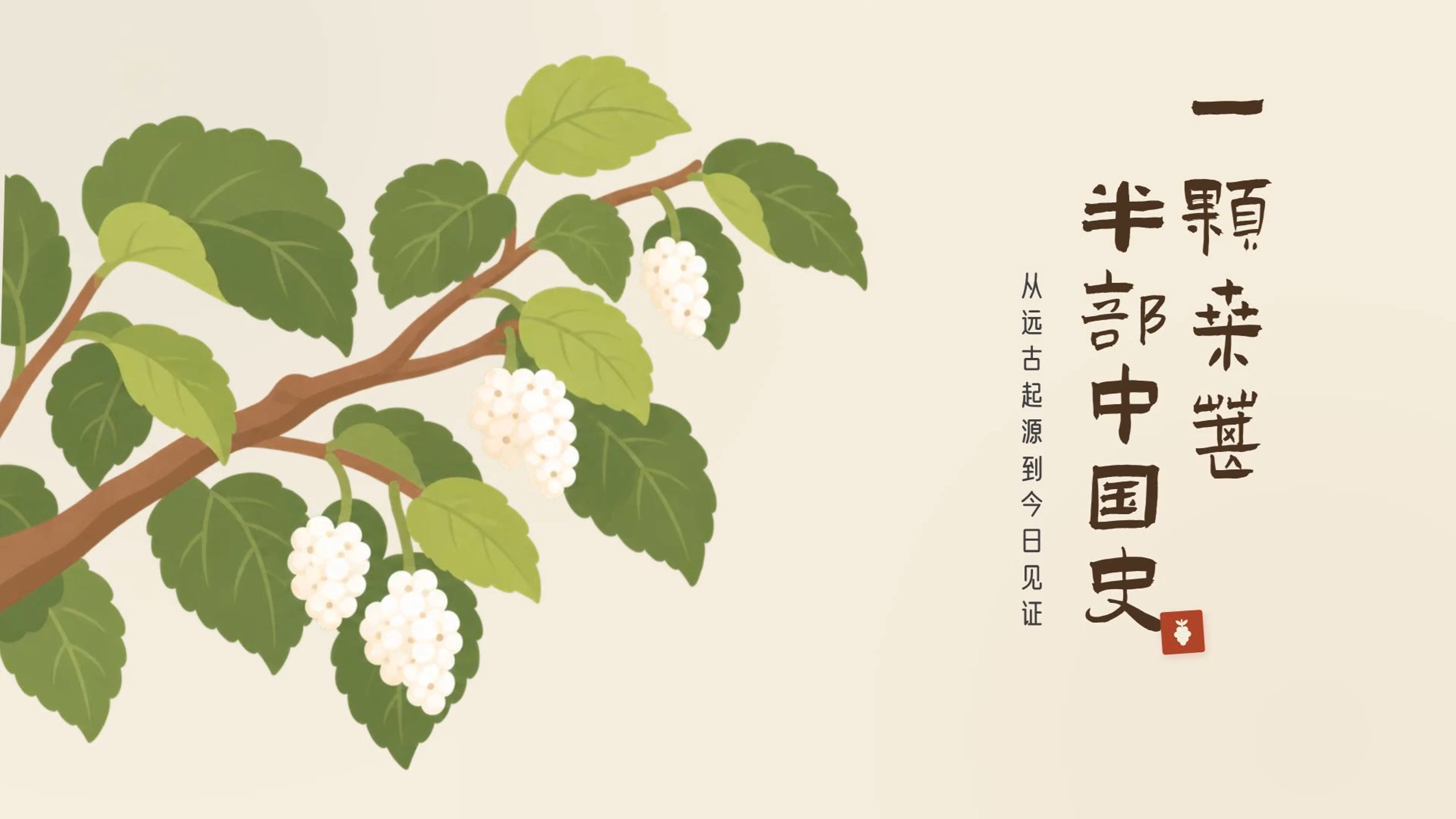 桑葚简史