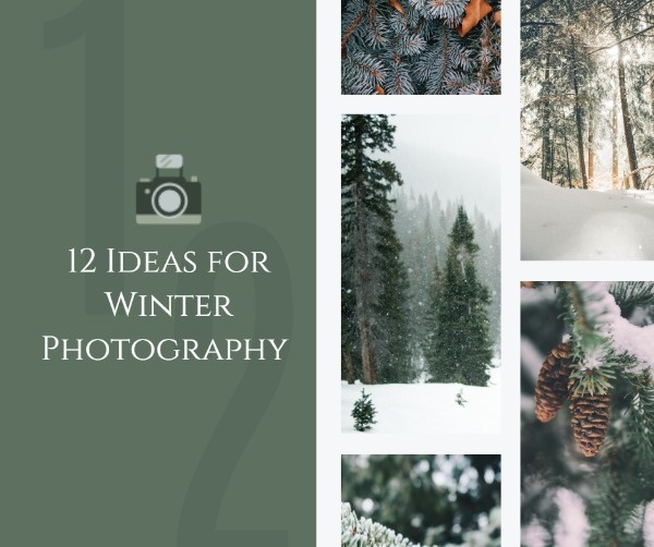 Ideas For Winter Photography