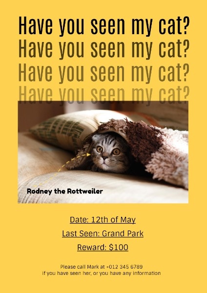 Have You Seen My Cat