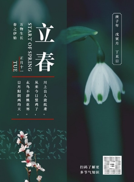 绿色中国风节日节气立春海报