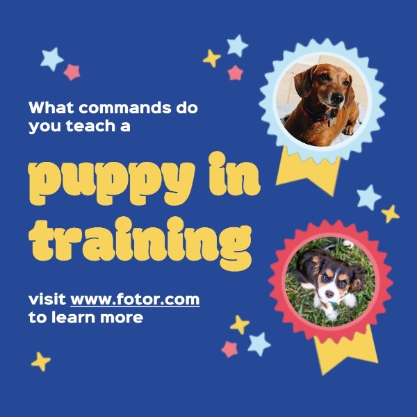 Blue Puppy Training Service Ads