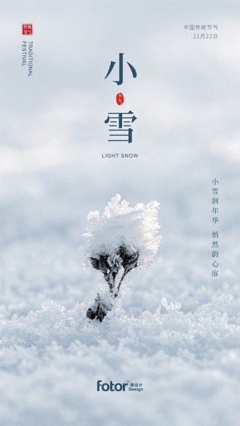 白色图文小雪节气简约
