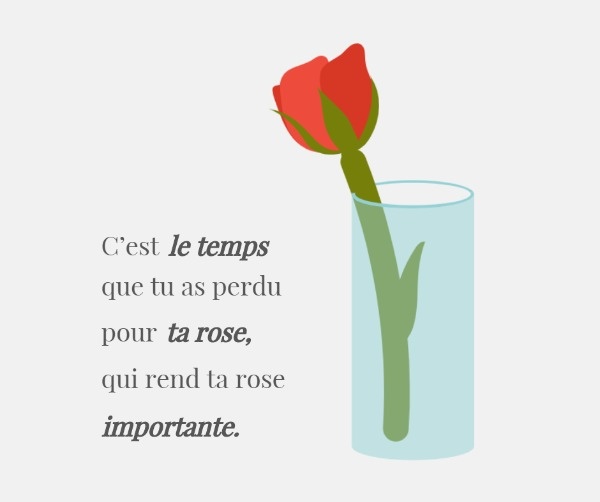 Little Prince Rose Quote