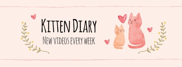Kitten Diary