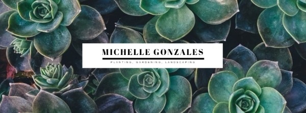 Green Succulent Plant Banner