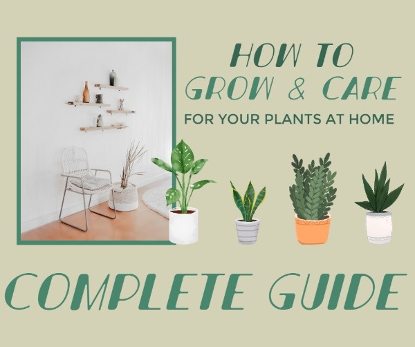 How To Care Your Plant At Home
