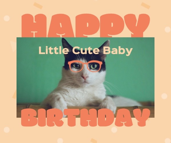 Pet Cat Birthday Celebration
