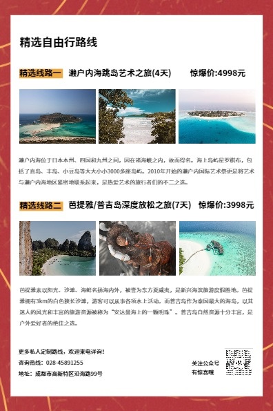 红色中国风节日春节旅行DM宣传单(A5)