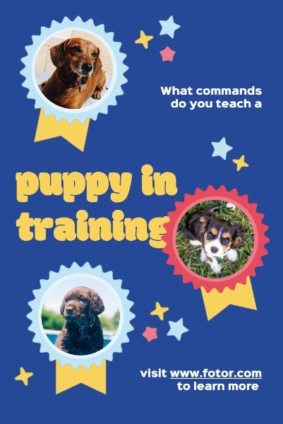 Blue Puppy Training Service Ads