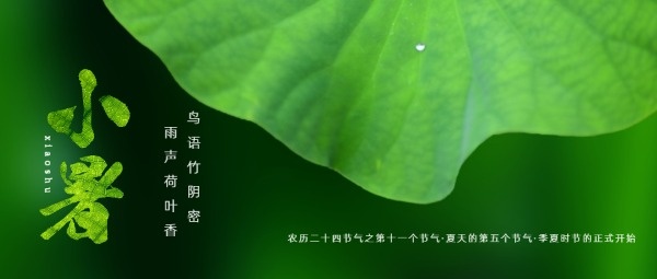 传统文化24节气绿色小暑公众号封面大图模板
