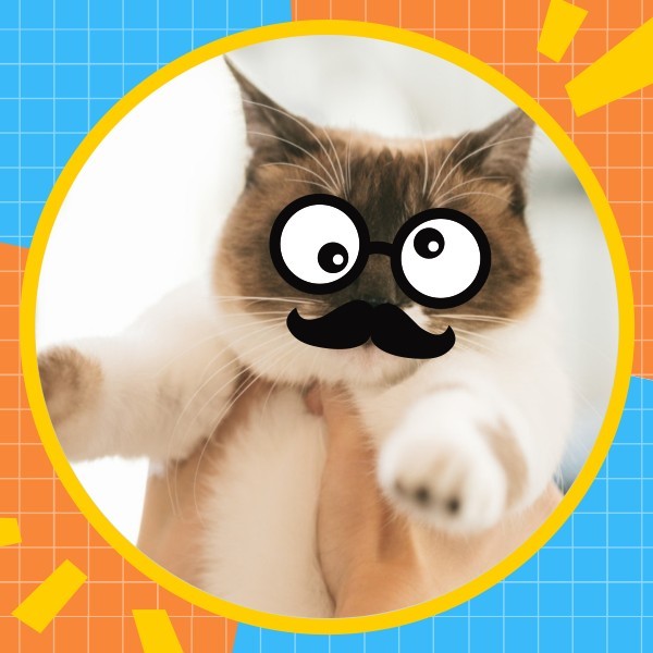 卡通搞怪可爱橙色