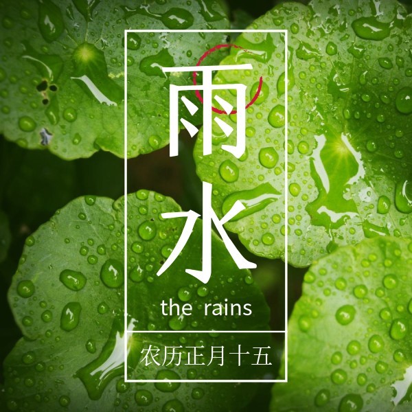 绿色文艺传统节气雨水公众号封面小图