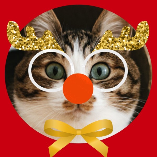 红色圣诞可爱卡通麋鹿铃铛微信头像微信头像紫色万圣节卡通可爱插画