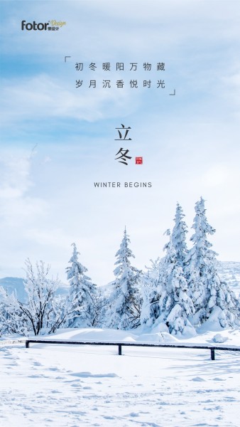 白色简约图文24节气立冬