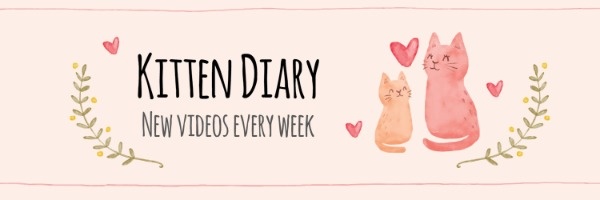 Kitten Diary