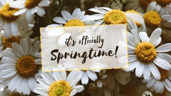 Sunflower Spring Time Quote
