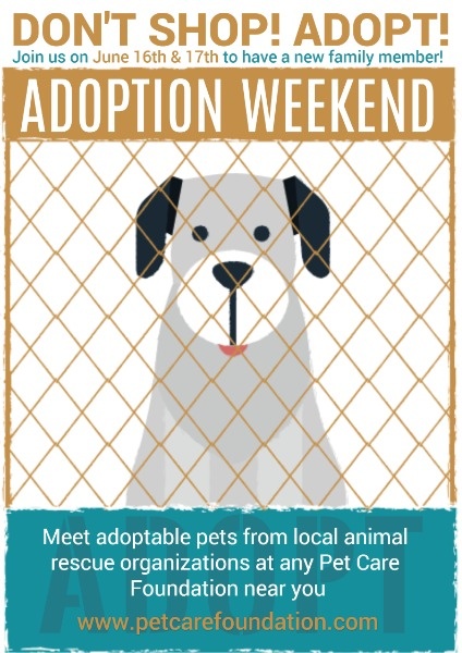 Cute Pet Adoption