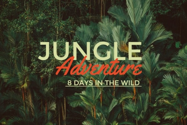 Jungle Adventure