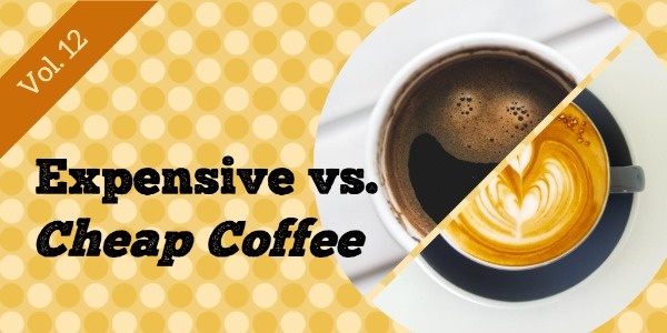 expensive vs cheap coffee youtube video