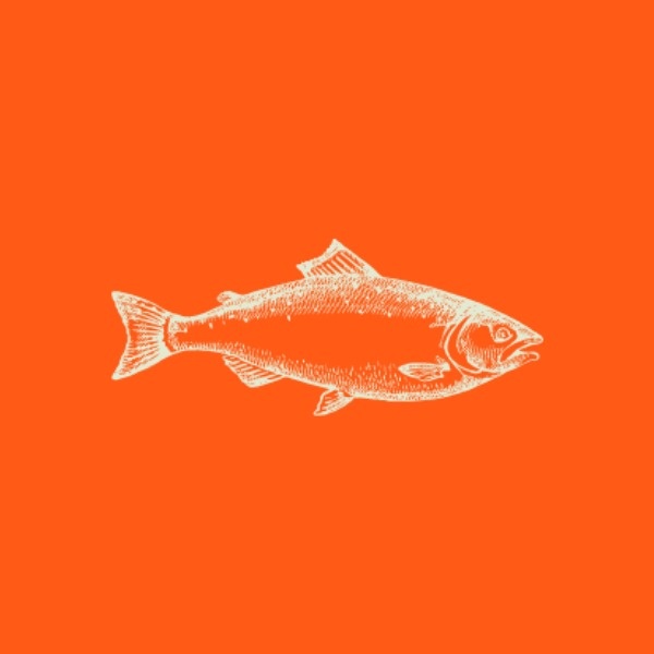 Orange Fishing Icon