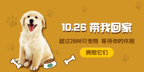 宠物领养