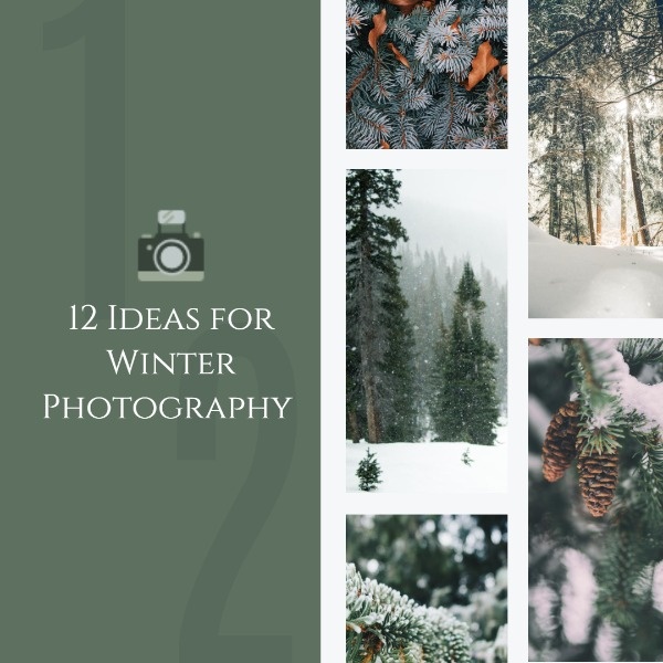 Ideas For Winter Photography