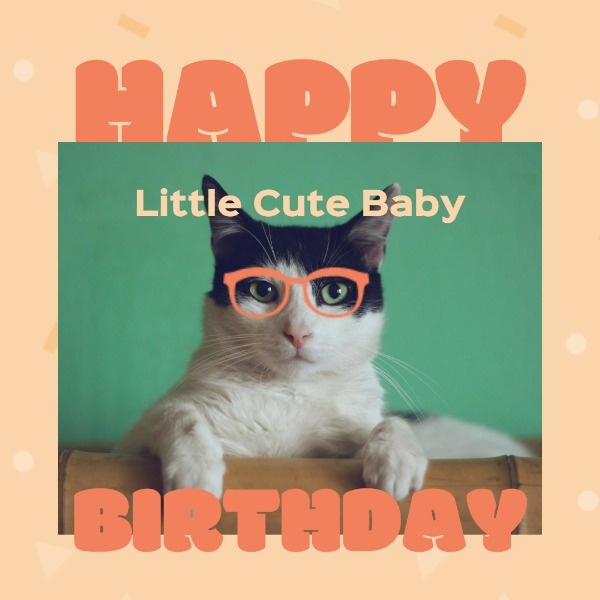 Happy Birthday To Your Pet 