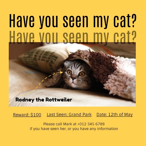 Have You Seen My Cat