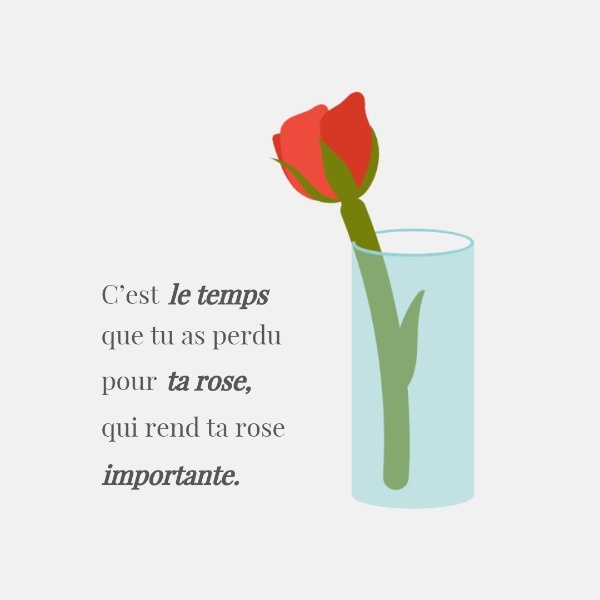 Little Prince Rose Quote