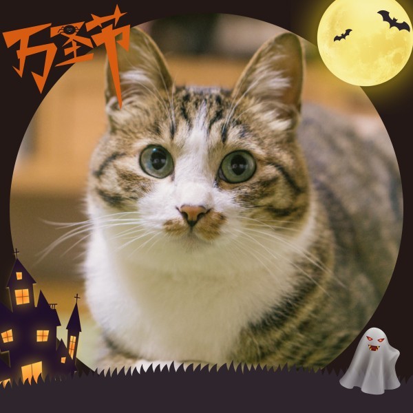 万圣节鬼怪卡通紫色