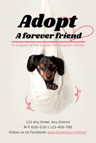 White Background Of Animal Adoption Center Poster