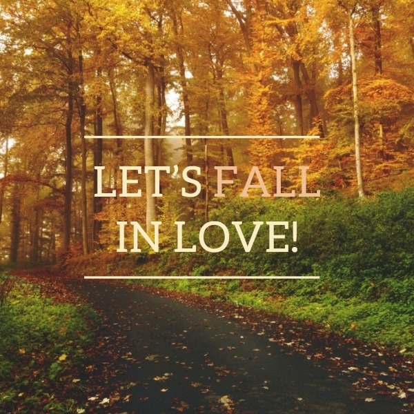 Simple Bumper Autumn