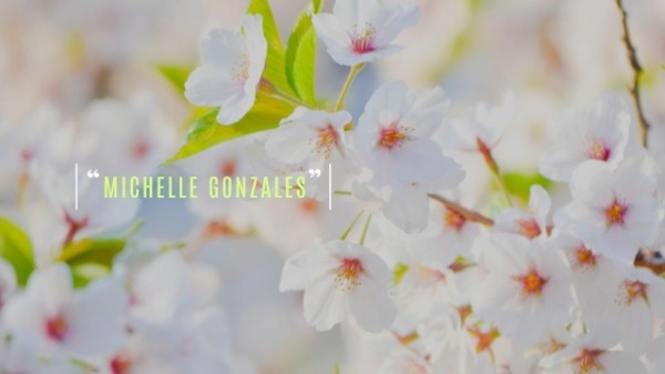 Cherry Blossom YouTube Channel Banner