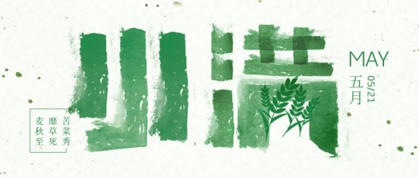 绿色文艺字体设计小麦穗节气小满公众号封面大图模板