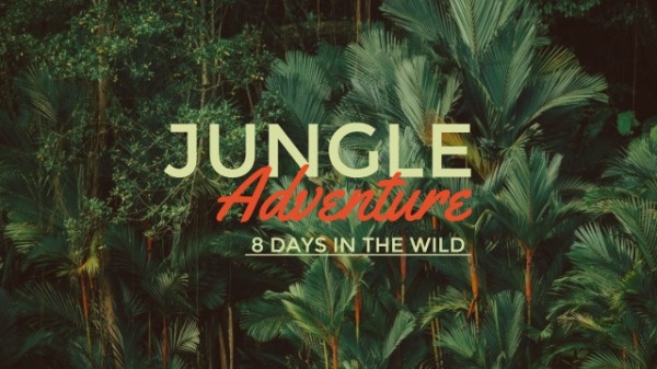 Jungle Adventure