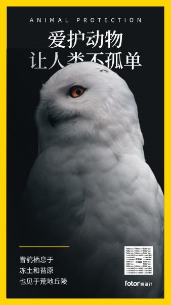 黄色黑色猫头鹰保护动物环境公益手机海报