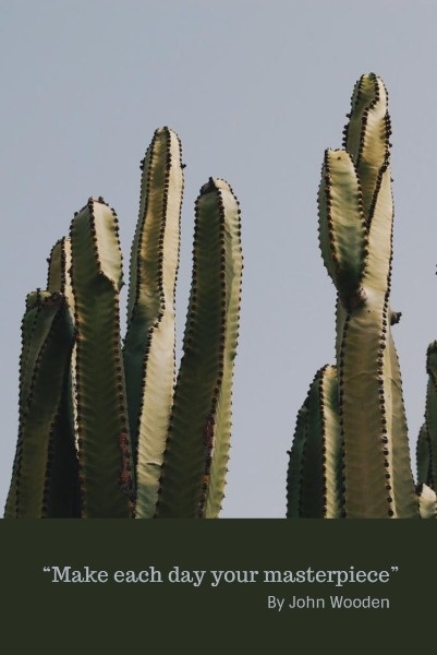 Dark Cactus Wallpaper