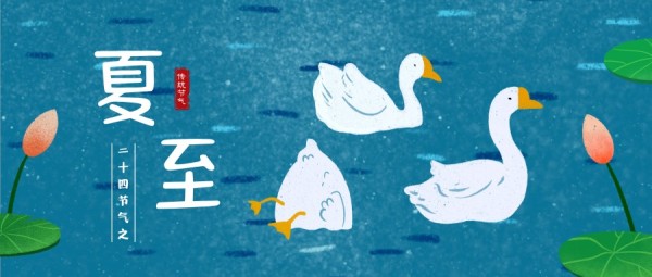 夏至节气手绘插画池塘白鹅公众号封面大图