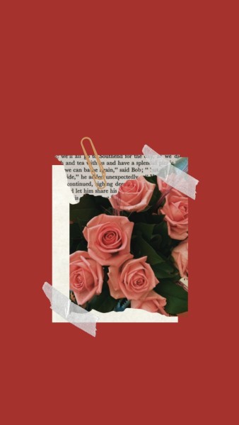 美丽的红玫瑰手机壁纸