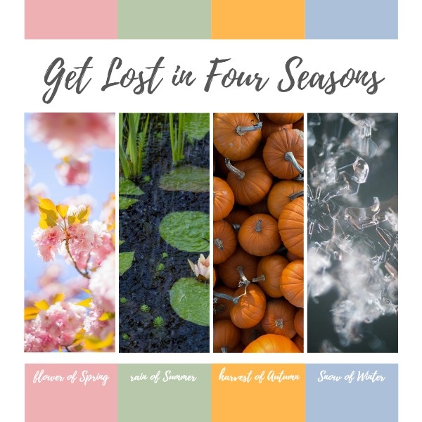 Beautiful Seasons