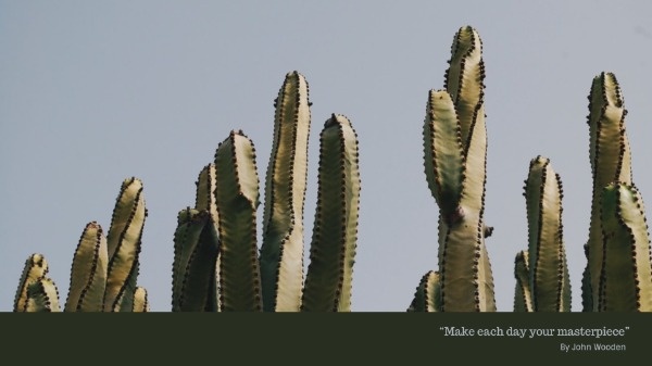 Dark Cactus 