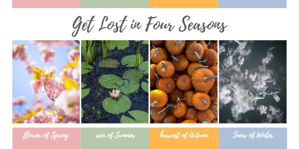 Beautiful Four Seasons