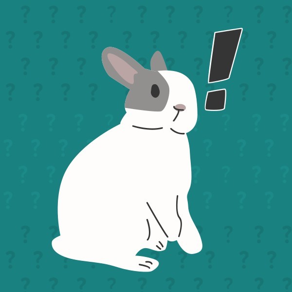兔子惊讶表情绿色微信头像