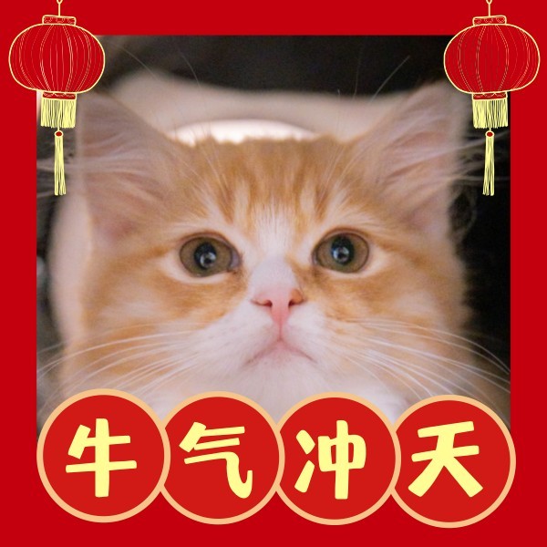 红色喜庆新年春节祝福微信头像模板