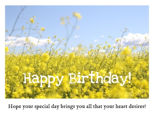 Yellow Sunflower Birthday Wishes
