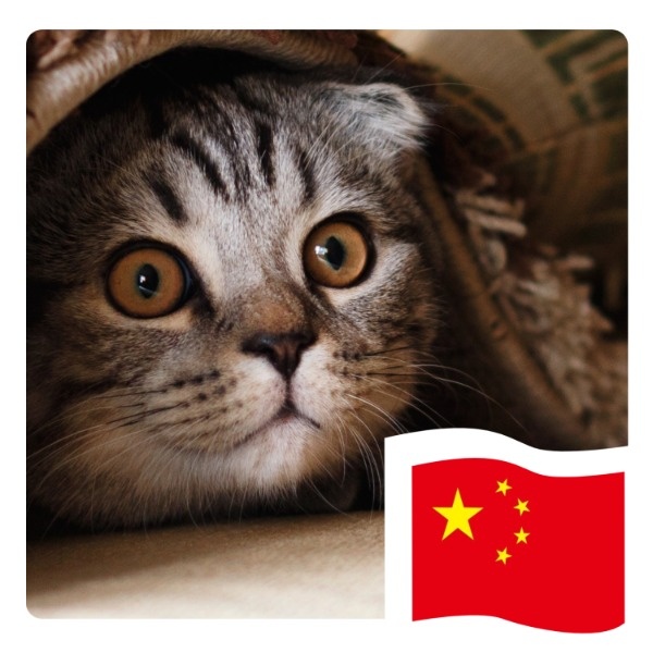 中国微信头像 国旗图片